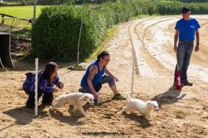 comp_Struppirennen Herbst 2014-144